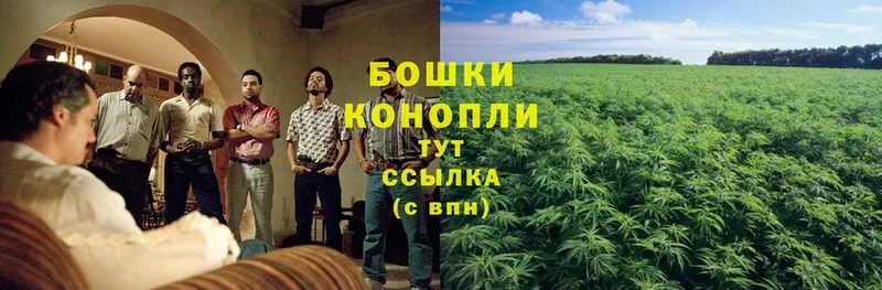 Канабис THC 21%  Спасск-Рязанский 